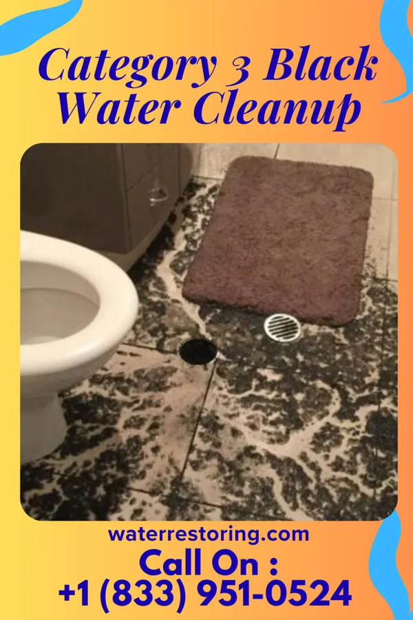 Category 3 Black Water Cleanup in Beasley, TX